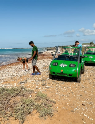 Sal Island Excursion